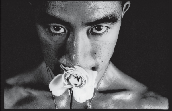 薔薇刑#32, 細江英公, 1961年, ゼラチンシルバープリント, 508 x 609 mm